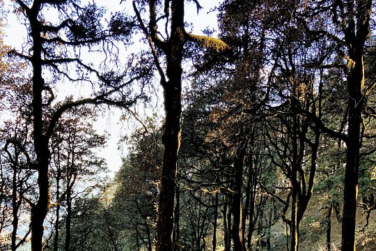 Tour image 7