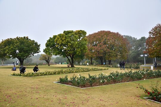 Tour image 4
